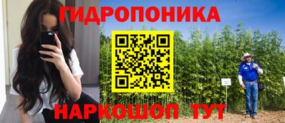 mdpv Лесосибирск
