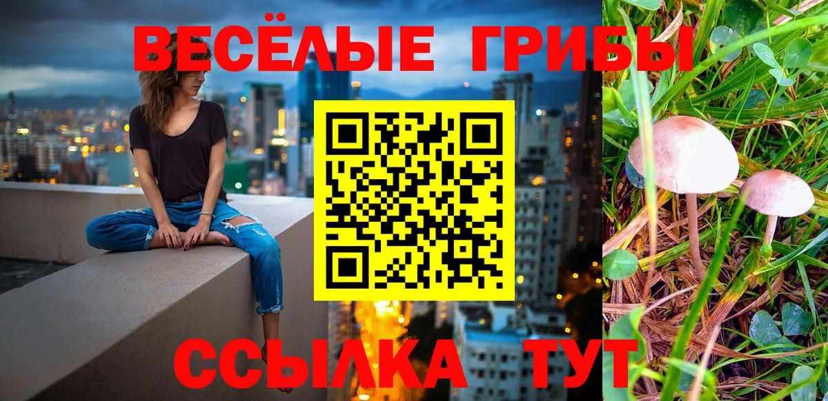 Галлюциногенные грибы Cubensis Электрогорск