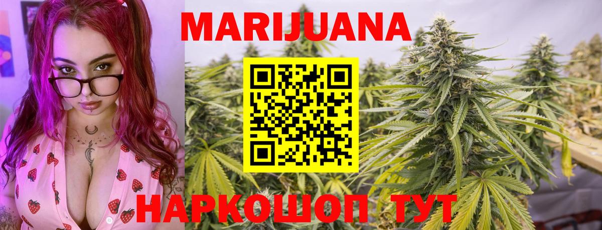 Марихуана планчик  Конопля планчик  Конопля White Widow  Электрогорск  Вход с VPN 